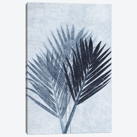Palm IV Blue Canvas Print #PNF19} by Pernille Folcarelli Art Print