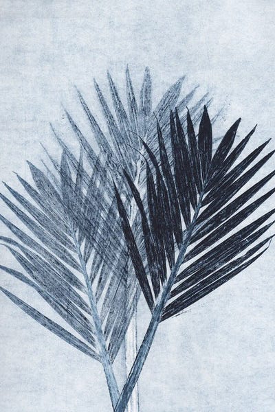 Pernille Folcarelli: Palm IV Blue by Pernille Folcarelli