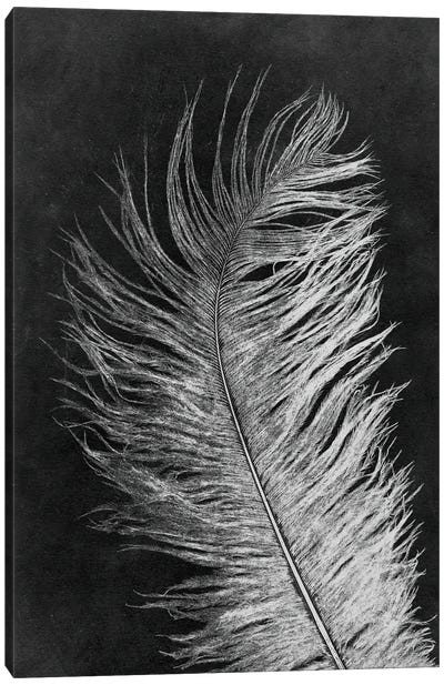 Feather III Dark Canvas Art Print - Minimalist Bedroom Art