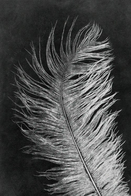 Feather III Dark