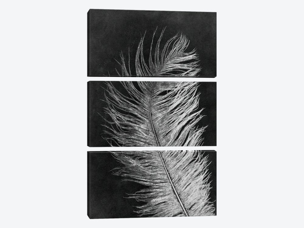 Feather III Dark by Pernille Folcarelli 3-piece Art Print