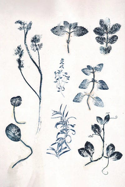 Pernille Folcarelli: Herbs Garden Blue by Pernille Folcarelli