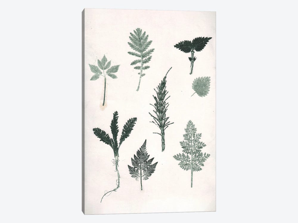 Herbs Wild Green by Pernille Folcarelli 1-piece Art Print