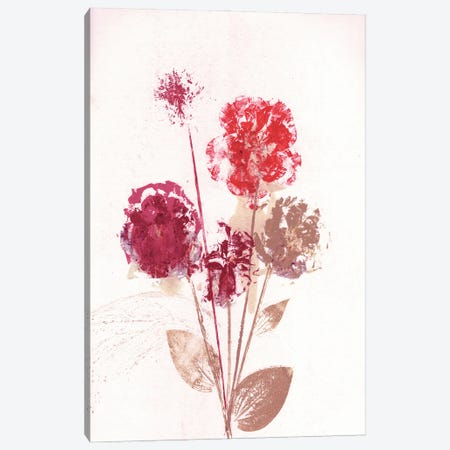 Bouquet I Red Canvas Print #PNF3} by Pernille Folcarelli Canvas Wall Art