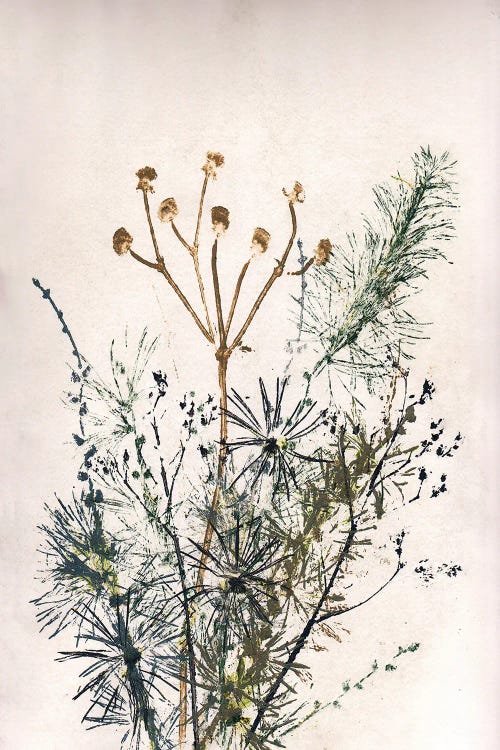 Bouquet V by Pernille Folcarelli wall art