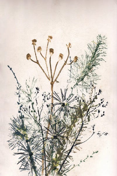 Pernille Folcarelli: Bouquet V by Pernille Folcarelli