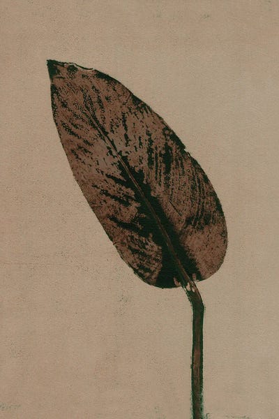 Calathea Brown by Pernille Folcarelli art print