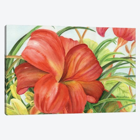 Botanic Flower Canvas Print #PNN16} by Paula Nathan Canvas Art
