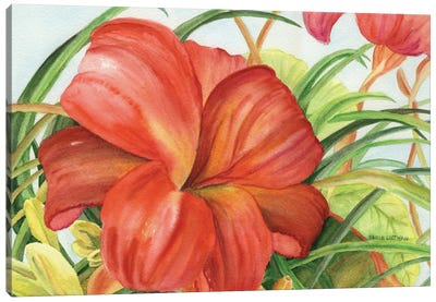 Botanic Flower Canvas Art Print - Hibiscus Art