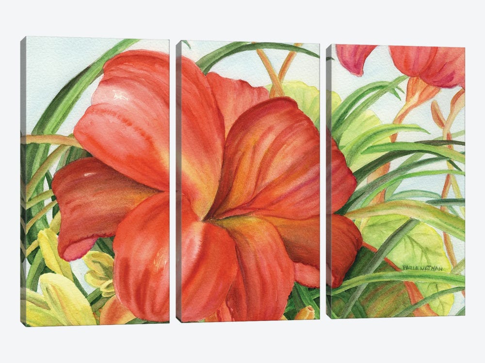 Botanic Flower by Paula Nathan 3-piece Canvas Art Print