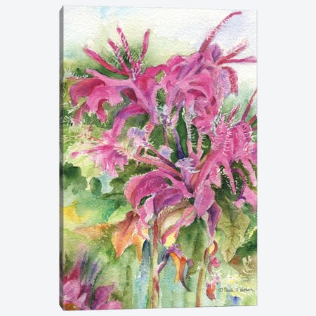 Galena Flower Canvas Print #PNN17} by Paula Nathan Canvas Artwork