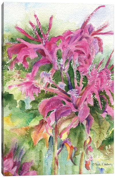 Galena Flower Canvas Art Print - Paula Nathan