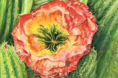 Flying Saucer Cactacea Flower-Chicago Botanic Garden by Paula Nathan multi panel art