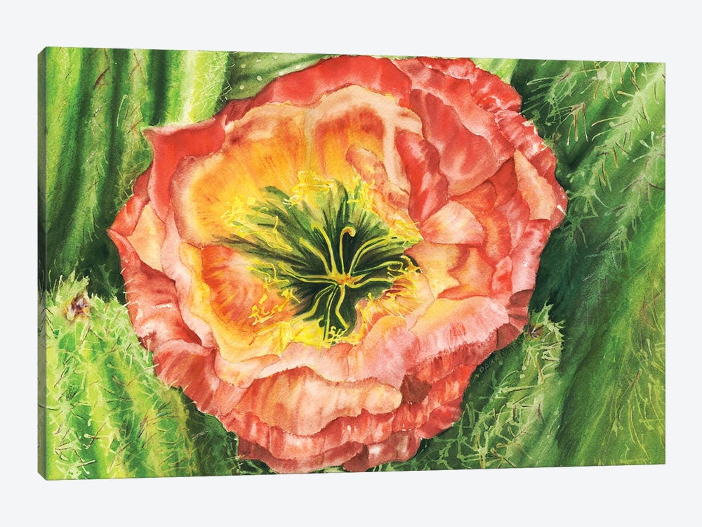 Flying Saucer Cactacea Flower-Chicago Botanic Garden by Paula Nathan 1-piece Art Print