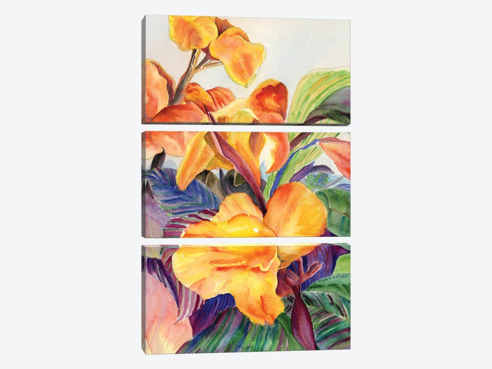 Tropicana Flower by Paula Nathan 3-piece Art Print