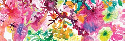 Explosion Of Colors by Paulina Tapia framed canvas print