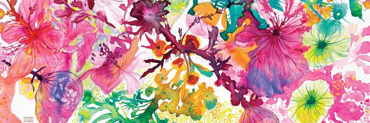 Explosion Of Colors by Paulina Tapia wall art