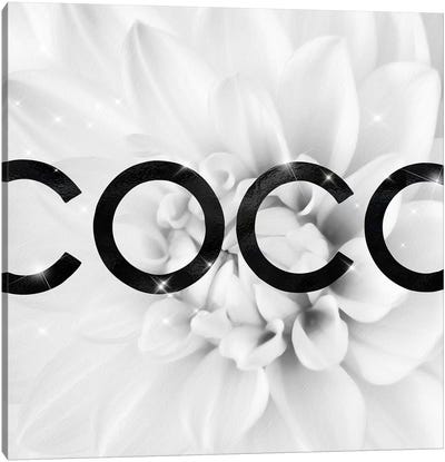 Black And White Coco Dahlia Fashion III Canvas Art Print - Pomaikai Barron