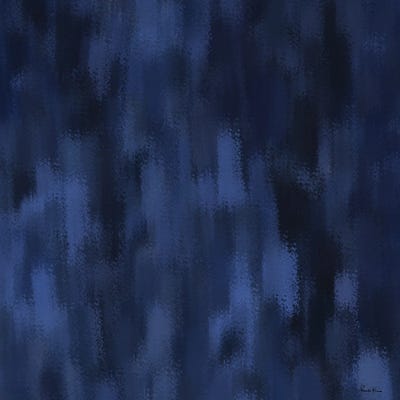 Midnight I by Pomaikai Barron canvas print