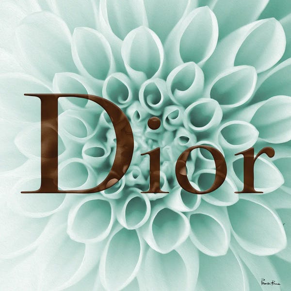 Dahlias: Mint And Cafe Dahlia Fashion V by Pomaikai Barron