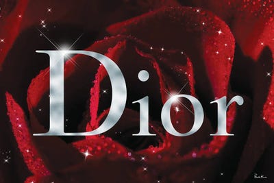 Red Rose Fashion IV by Pomaikai Barron framed wall art