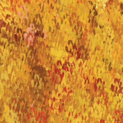 Whispers Of Fall I by Pomaikai Barron framed wall art