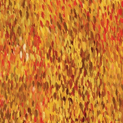 Whispers Of Fall V by Pomaikai Barron canvas print