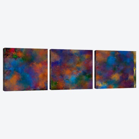 Hypnotize Triptych Canvas Print Set #POB3HSET004} by Pomaikai Barron Canvas Art