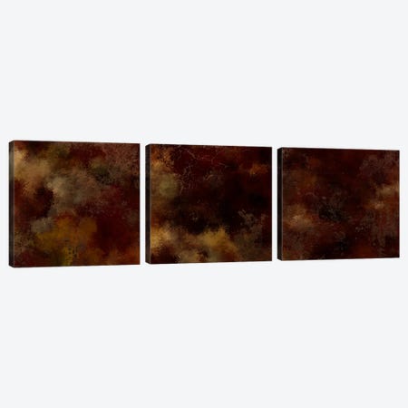 Ravage Triptych Canvas Print Set #POB3HSET006} by Pomaikai Barron Canvas Artwork