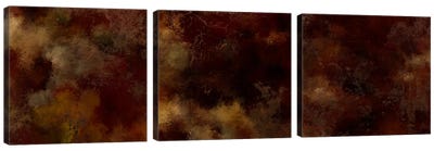 Ravage Triptych Canvas Art Print - Pomaikai Barron