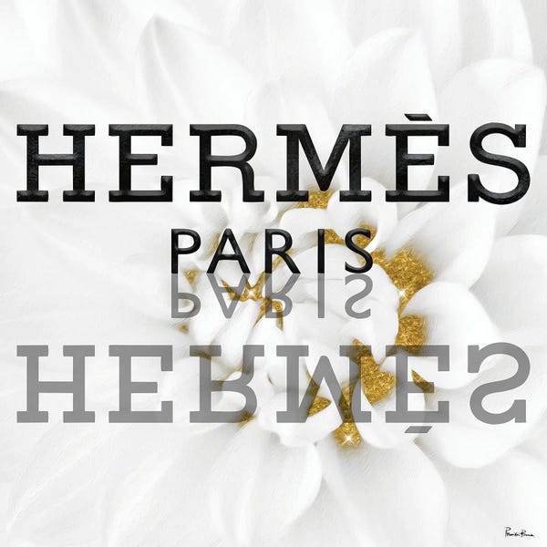 Black & White & Gold: Gold White Fashion Dahlia IV by Pomaikai Barron