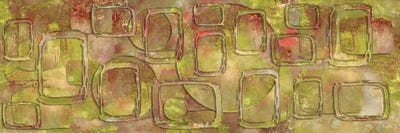 Pages-Ever Green by Pomaikai Barron canvas print