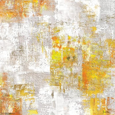 Burning Rays by Pomaikai Barron framed wall art