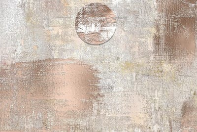 Day Moon by Pomaikai Barron framed wall art