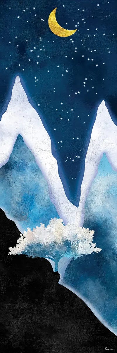 Wonders Of Night by Pomaikai Barron canvas print