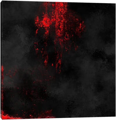 Red Noise III Canvas Art Print - Pomaikai Barron