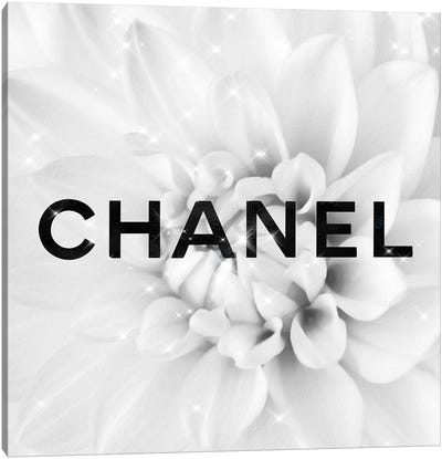 Black And White Coco Dahlia Fashion II Canvas Art Print - Chanel Art