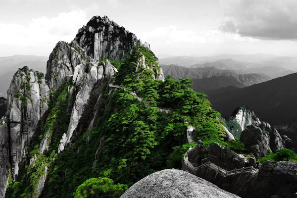 Color Pop Photography: Pure Plan by 5by5collective