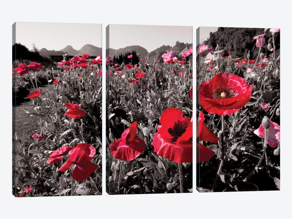 Red Poetry 3-piece Canvas Print
