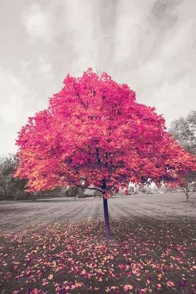 Office: Emotional Creation by 5by5collective