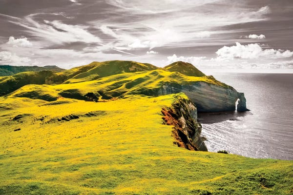 Color Pop Photography: Fragmented Foliage by 5by5collective