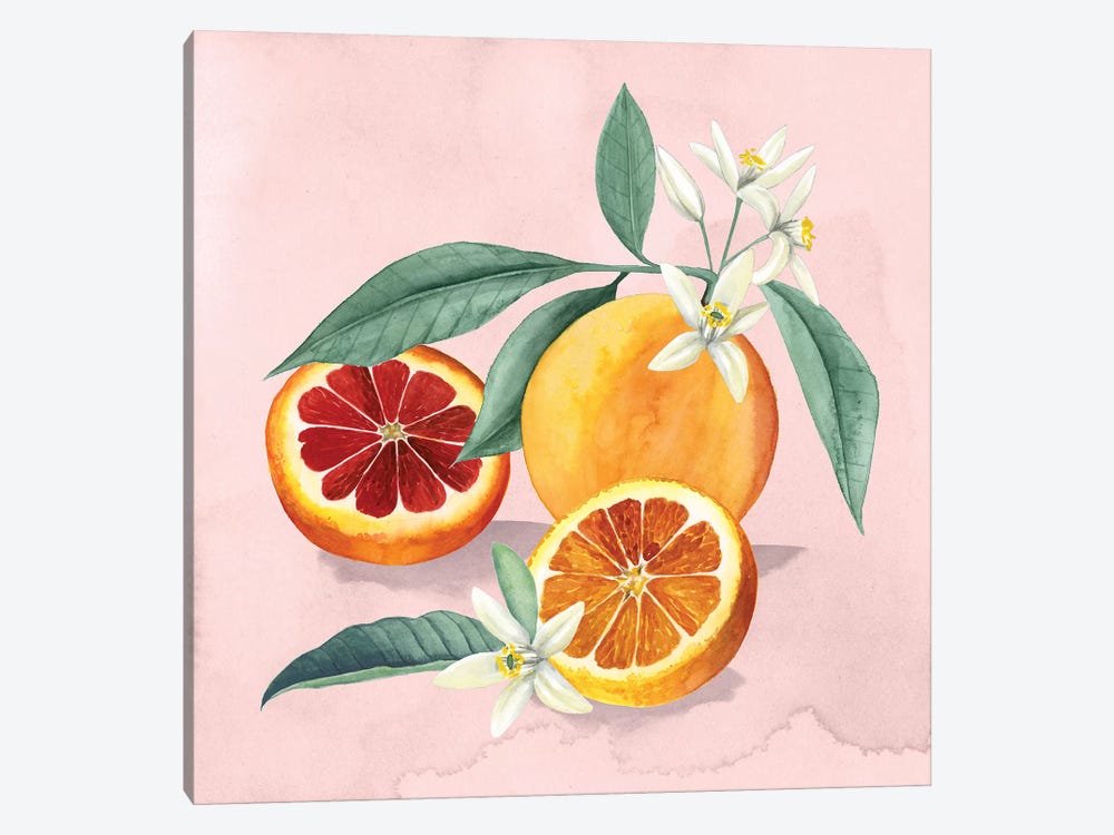 Florida Orange Blossom - State Flower Art Print