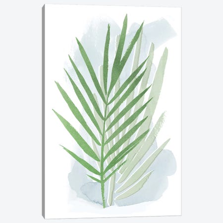 Palm Overlay I Canvas Print #POP1059} by Grace Popp Canvas Artwork