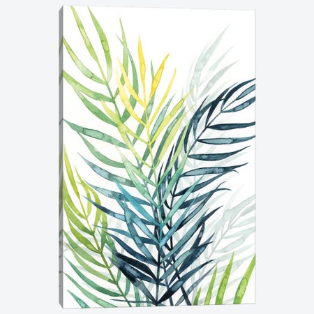 Sunset Palm Composition II Canvas Print #POP1088} by Grace Popp Canvas Print