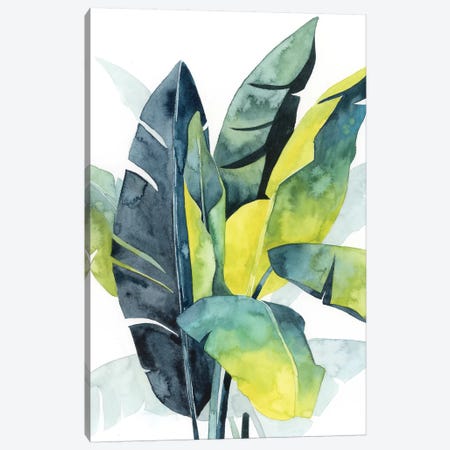 Sunset Palm Composition III Canvas Print #POP1089} by Grace Popp Canvas Art Print