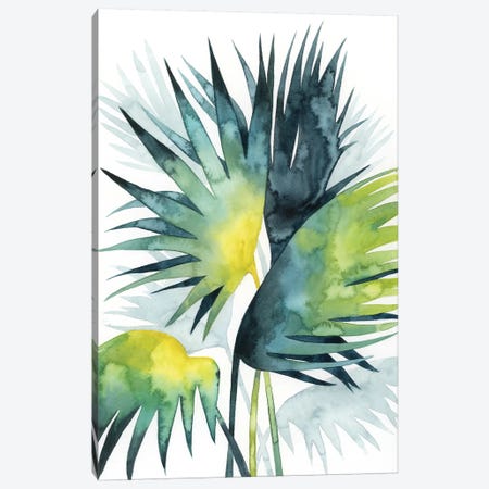 Sunset Palm Composition IV Canvas Print #POP1090} by Grace Popp Canvas Artwork