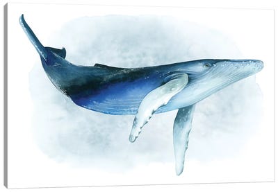 Watercolor Humpback I Canvas Art Print - Kids Nautical & Ocean Life Art