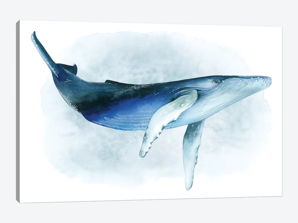 Watercolor Humpback I by Grace Popp 1-piece Canvas Print