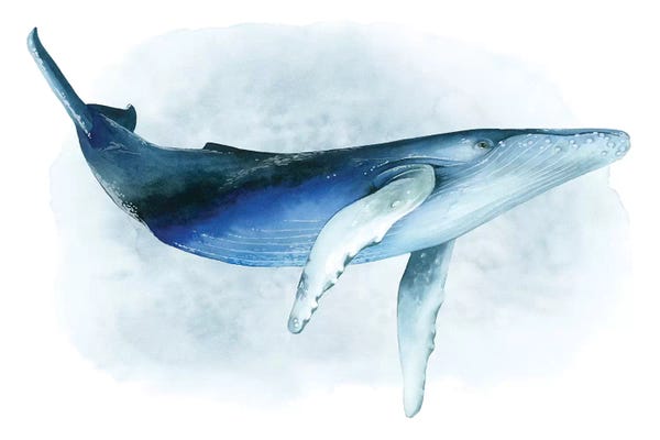 Whales: Watercolor Humpback I by Grace Popp