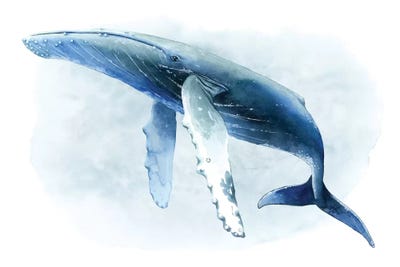 Watercolor Humpback II by Grace Popp multi panel art